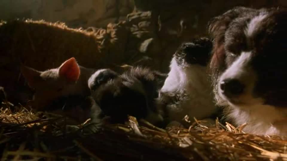 Babe galantní prasátko (Miriam Margolyes,Hugo Weaving 1995 Rodinný Komedie Drama Fantasy 1080p ) Cz dabing avi