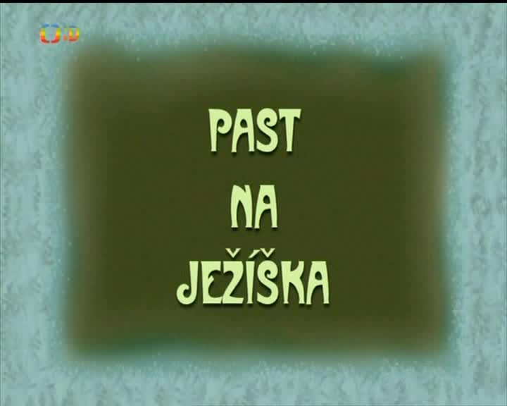 Past Na Ježíška (2006) CZ Film avi